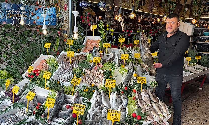 Siirt'te Balık Sezonu Açıldı: İşte Siirt'te Balık Fiyatları