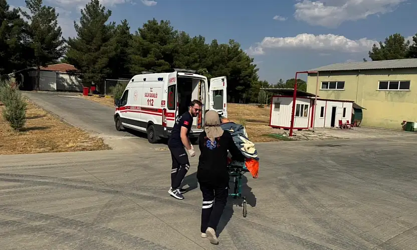 Siirt'te Beyin Kanaması Geçiren Kadın Ambulans Helikopterle Hastaneye Sevk Edildi