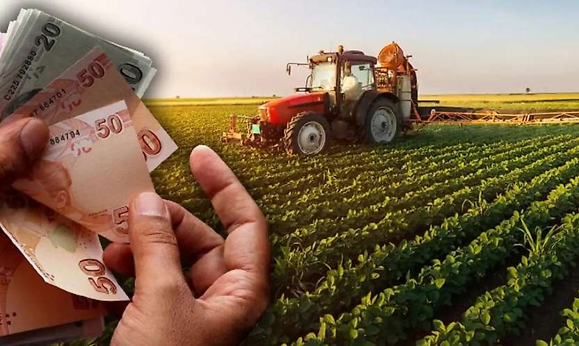Siirt'te Çiftçilere Destekte Yeni Artış: Dekar Başına 367 TL