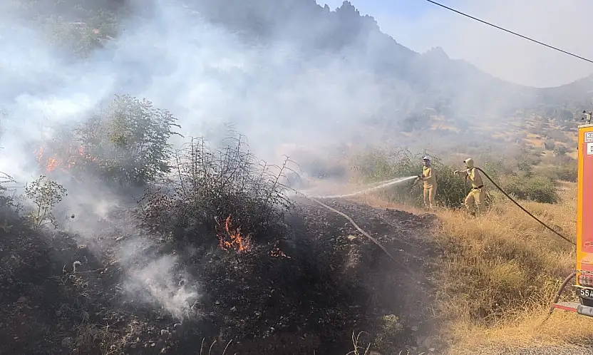 Siirt'te Çıkan Orman Yangını Kontrol Altına Alındı
