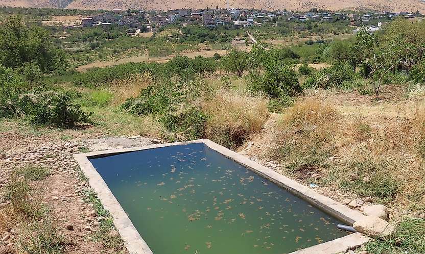 Siirt'te Doğa Fotoğrafçısı Üzüm Tek Başına 7 Yıldır Takip Ediyor: 39 Doğal Su Kaynağını Kayıt Altına Aldı
