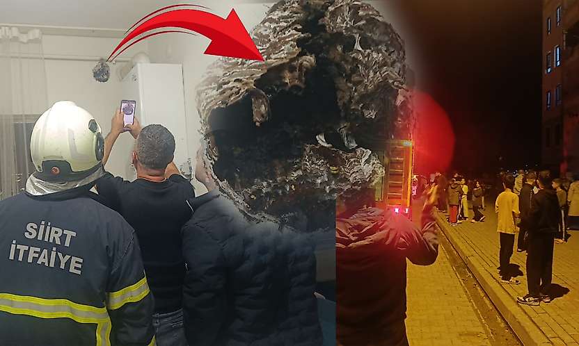 Siirt'te Evine Yuva Yapan Eşek Arılarını Yakmak İsterken Apartmanı Ayağa Kaldırdı!