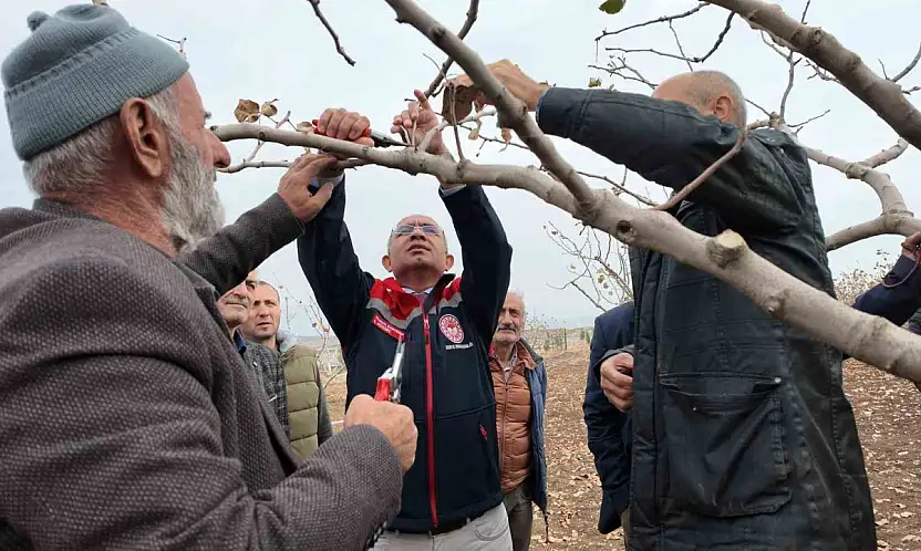 Siirt'te fıstık üreticilerine teorik ve pratik 'budama' ile 'gübreleme' eğitimi
