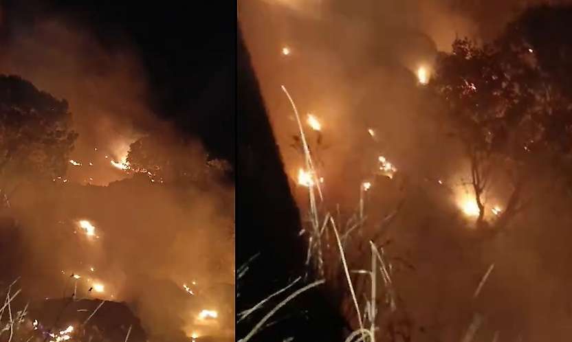 Siirt'te Gece Yarısı Korkutan Yangın! Baykan'ın Ardından Şirvan'da Bağlar Alevlere Teslim Oldu
