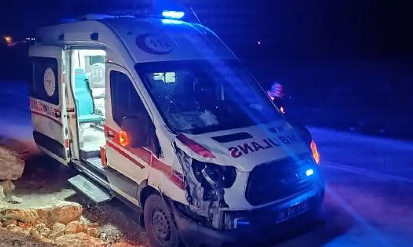 Siirt'te Hasta Taşıyan Ambulans At Sürüsüne Çarptı: 1 At Öldü