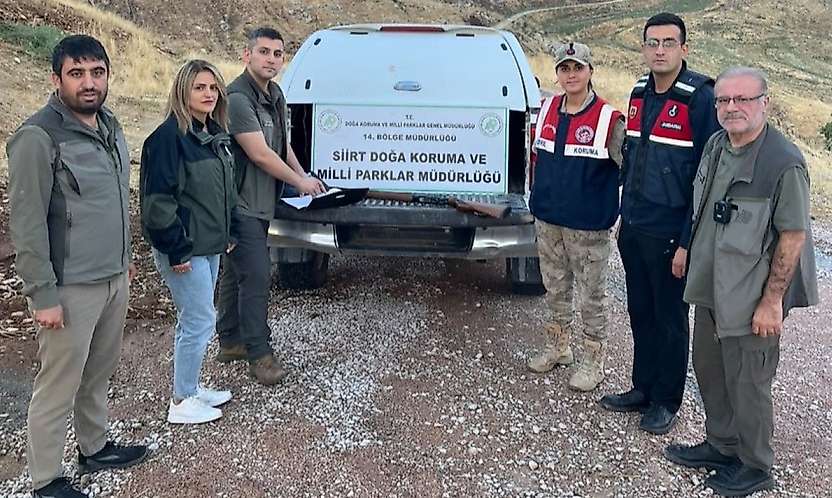Siirt'te kaçak avcılığa geçit yok! Av koruma ekipleri bir kişiyi yakaladı