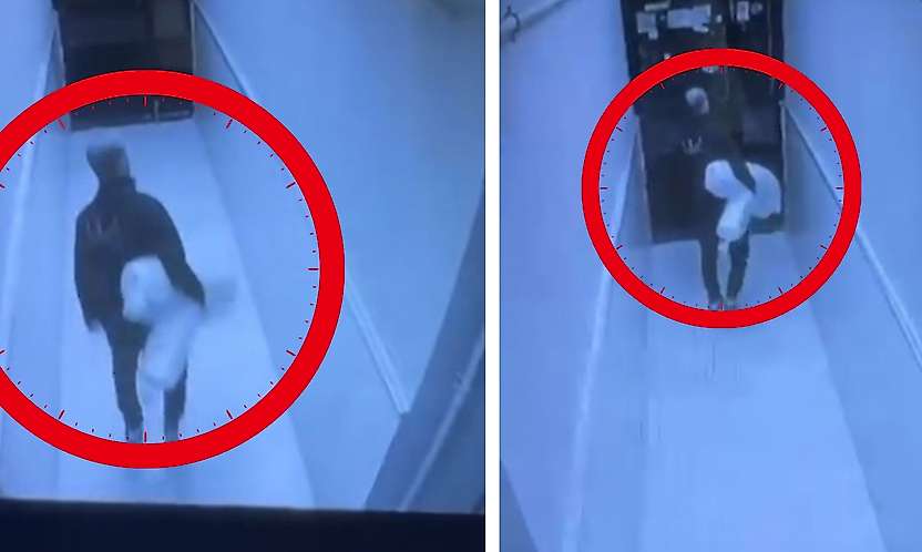 Siirt'te kapı önüne bırakılan halı çalındı: Polis ekipleri inceleme başlattı