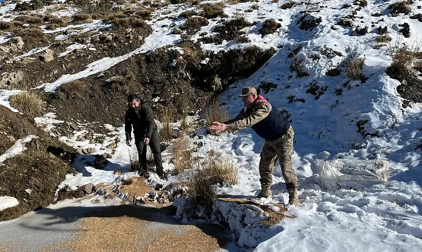 Siirt'te kar altında kalan yaban hayvanlarına 750 kilogramlık yaşam desteği