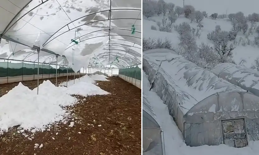 Siirt'te kar yağışı seraları çökertti