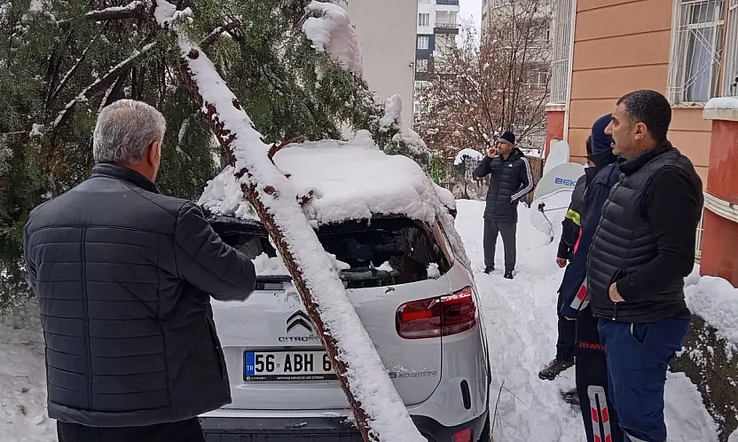 Siirt'te karın ağırlığına dayanamayan çam ağacı park halindeki aracın üzerine devrildi