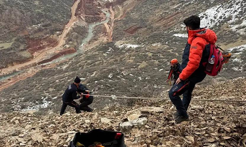Siirt'te kayalıklarda mahsur kalan keçilerini kurtarmak isteyen çobanda mahsur kaldı! AFAD ekipleri çobanı ve keçileri kurtardı