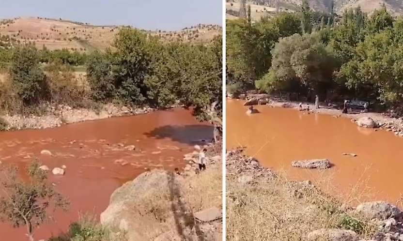 Siirt'te Korkunç Görüntü: Zorava Çayı Çamura Büründü
