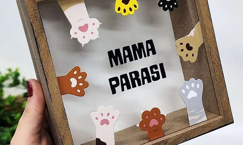Siirt'te Mama Desteği Toplayan Kişiye 948 Bin TL İdari Para Cezası