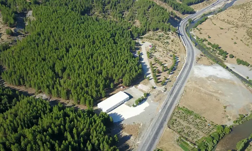 Siirt'te Orman Kadastrosu Verileri Açıklandı: 259 Bin Hektar Kayıt Altında