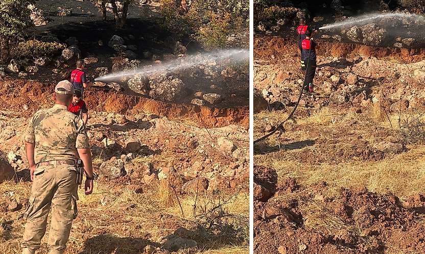 Siirt'te Orman Yangını: Yaklaşık 100 Dönüm Alan Zarar Gördü