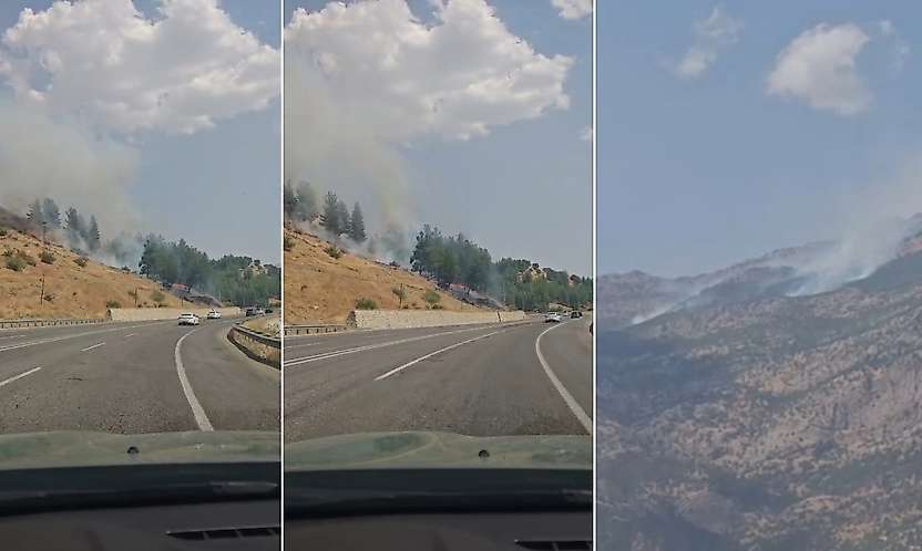 Siirt'te Orman Yangınları: 2 İlçe ve Üç Bölgede Ekipler Seferber Oldu