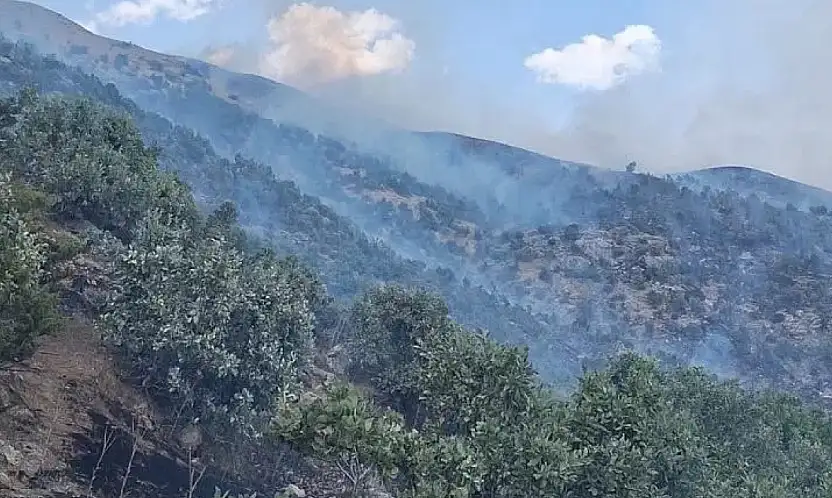 Siirt'te Ormanlara Giriş Yasaklandı! Valilik Yeni Tedbirleri Açıkladı