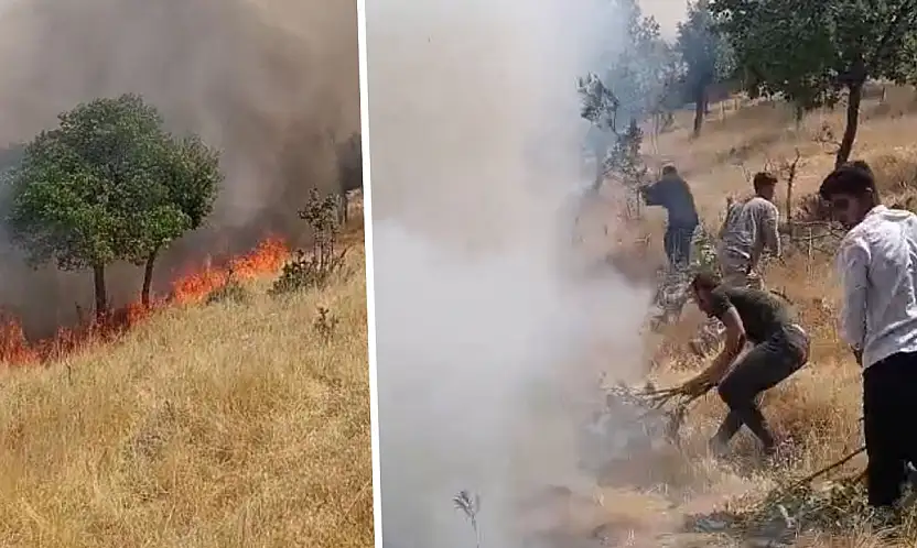 Siirt'te Örtü Yangını: 60 Dönüm Alan Kül Oldu