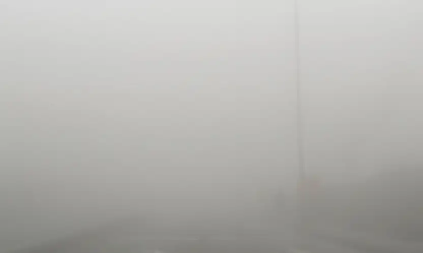 Siirt'te sis etkili oldu, görüş mesafesi 20 metreye kadar düştü