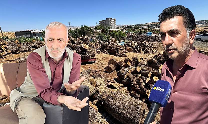 Siirt'te Sobalık Odun Alacaklar Dikkat! Odun Fiyatlarına Zam Geldi