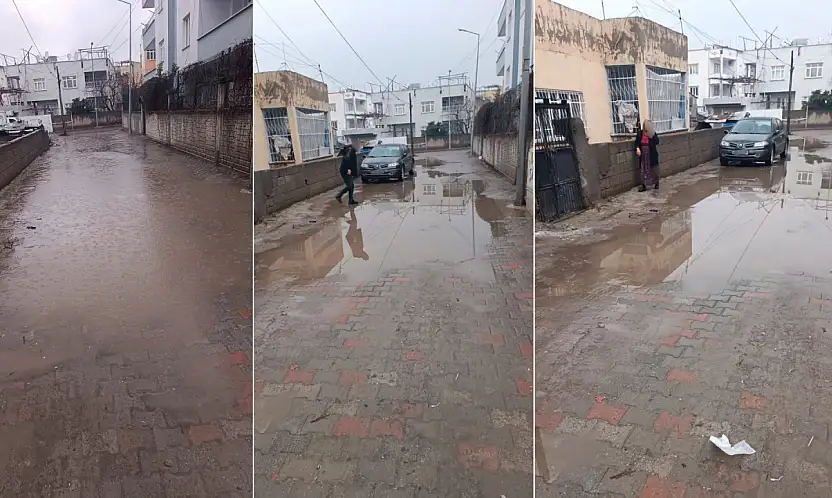 Siirt'te yağmur sonrası sokak göle dönüyor: Barış Mahallesi sakinleri çözüm bekliyor