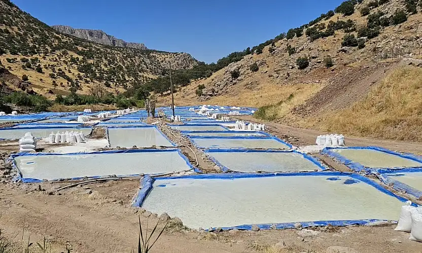 Siirt'te Yılda 550 Ton Üretiliyor! Tuzcular Köyü'nün Ekonomiye Katkısı Büyüyor