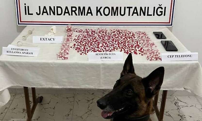 Siirt'te Yolcu Otobüsünde 2 Bin 650 Uyuşturucu Hap Ele Geçirildi