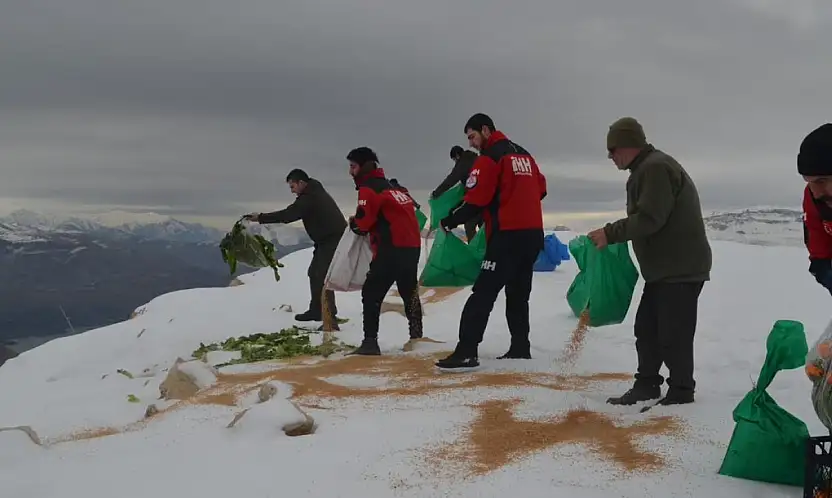 Siirt'te Zorlu Kış Şartlarında Yaban Hayvanları Unutulmadı
