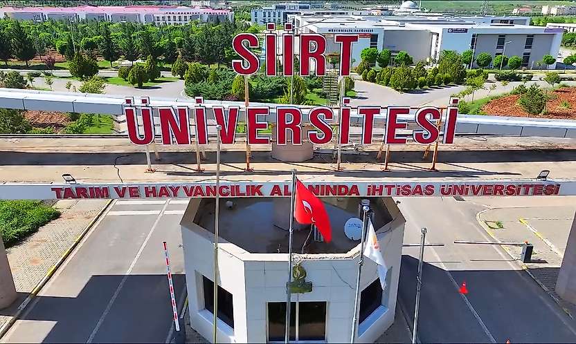 Siirt Üniversitesi Öğretim Elemanı Alacak: İşte Kadrolar Ve Başvuru Şartları