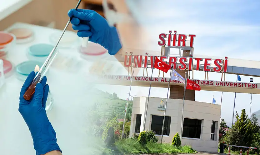 Siirt Üniversitesi Tıbbi Laboratuvar Teknikleri Programı Öğretim Görevlisi alımı sonuçlandı