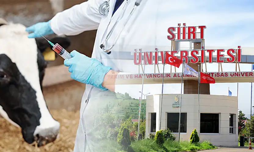 Siirt Üniversitesi Veteriner Fakültesi'nde üç anabilim dalında araştırma görevlisi alımı sonuçlandı