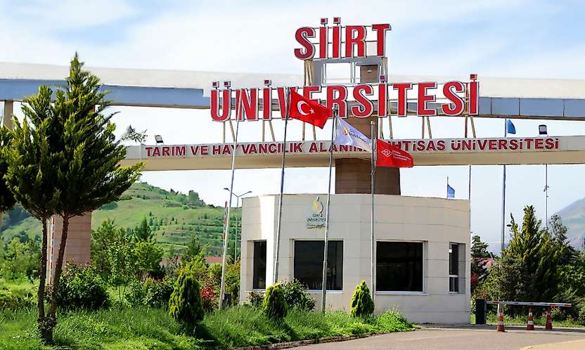 Siirt Üniversitesinde Akademik Çalışmalara ''Kaynakça Doğrula'' Desteği