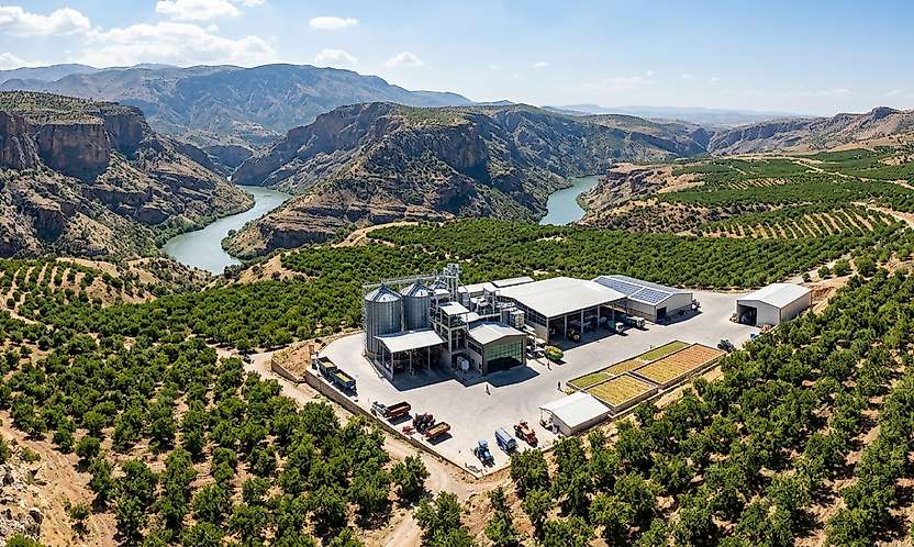 Siirt Urfa'nın Kaderini Yaşayabilir: Siirt Fıstığı Tescil Aldı Ama Ticaretini Alamadı