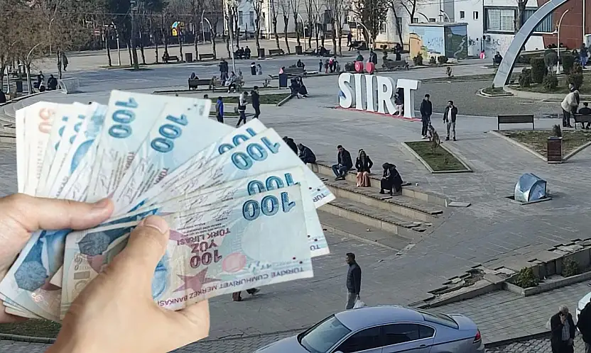 Siirt ve Komşu İllerin En Çok Kazandıran Meslek Grupları Belli Oldu