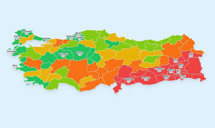 Türkiye'nin Aralık Ayı Doğurganlık Haritası Açıklandı: Siirt İlk 10'da Yer Aldı