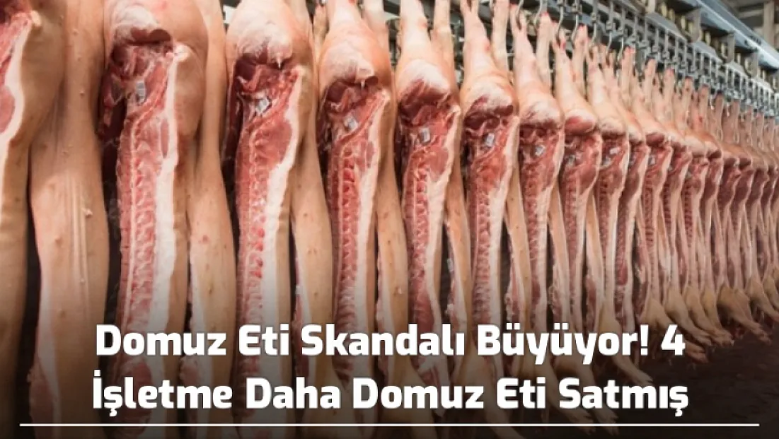 Domuz Eti Skandalı Büyüyor! 4 İşletme Daha Domuz Eti Satmış