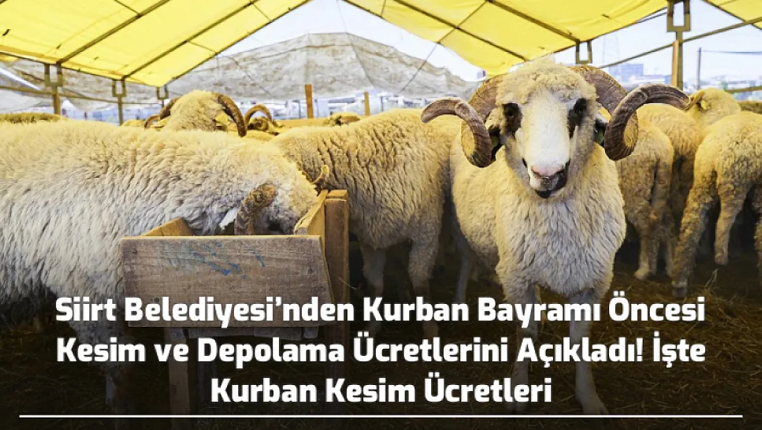 Siirt Belediyesi’nden Kurban Bayramı Öncesi Kesim ve Depolama Ücretlerini Açıkladı! İşte Kurban Kesim Ücretleri