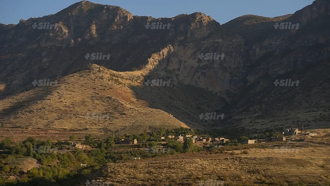 Siirt'te Silahlı Kavga: 1 Yaralı