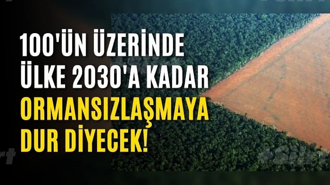 100'ün Üzerinde Ülke 2030'a Kadar Ormansızlaşmayı Dur Diyecek!