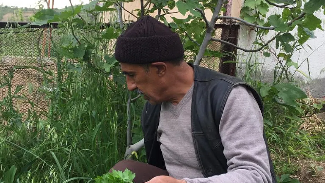 Siirt'te Hırsızlar, Bağda Çalışan Yaşlı Adamın Cüzdanını Çaldı