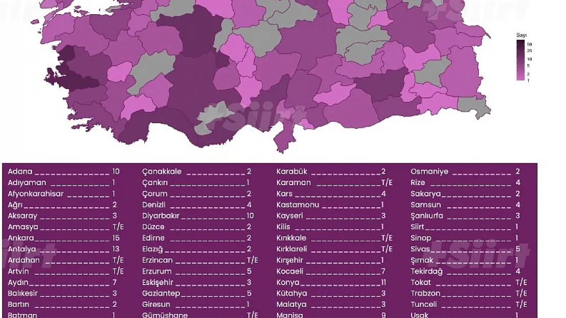 2020 yılında 300 kadın erkekler tarafından öldürüldü, 171 şüpheli ölüm var