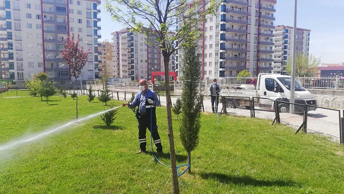 Siirt Belediyesi Haşerelere Karşı İlaçlama Çalışmalarına Devam Ediyor