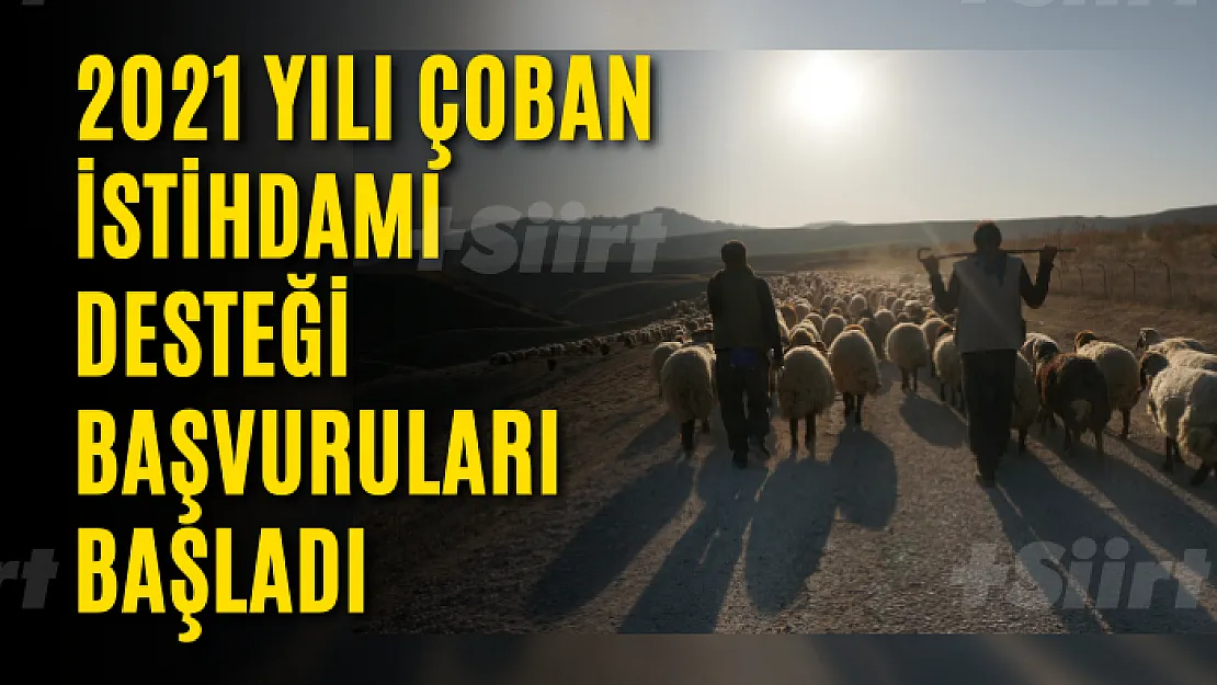 2021 yılı çoban istihdamı desteği başvuruları başladı