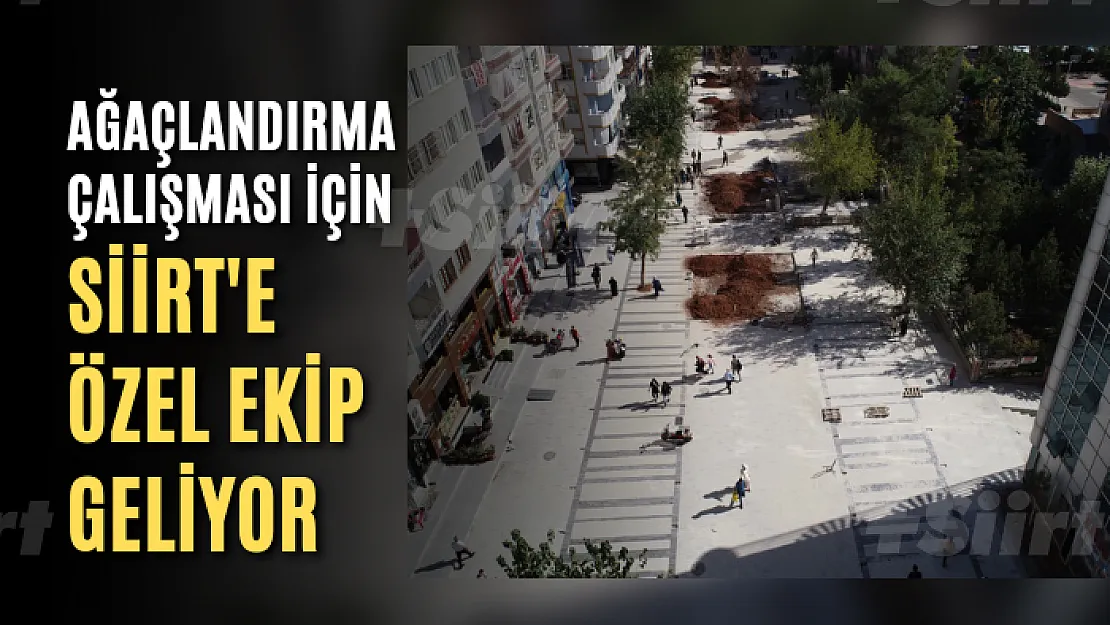 Ağaçlandırma Çalışması İçin Siirt'e Özel Ekip Geliyor