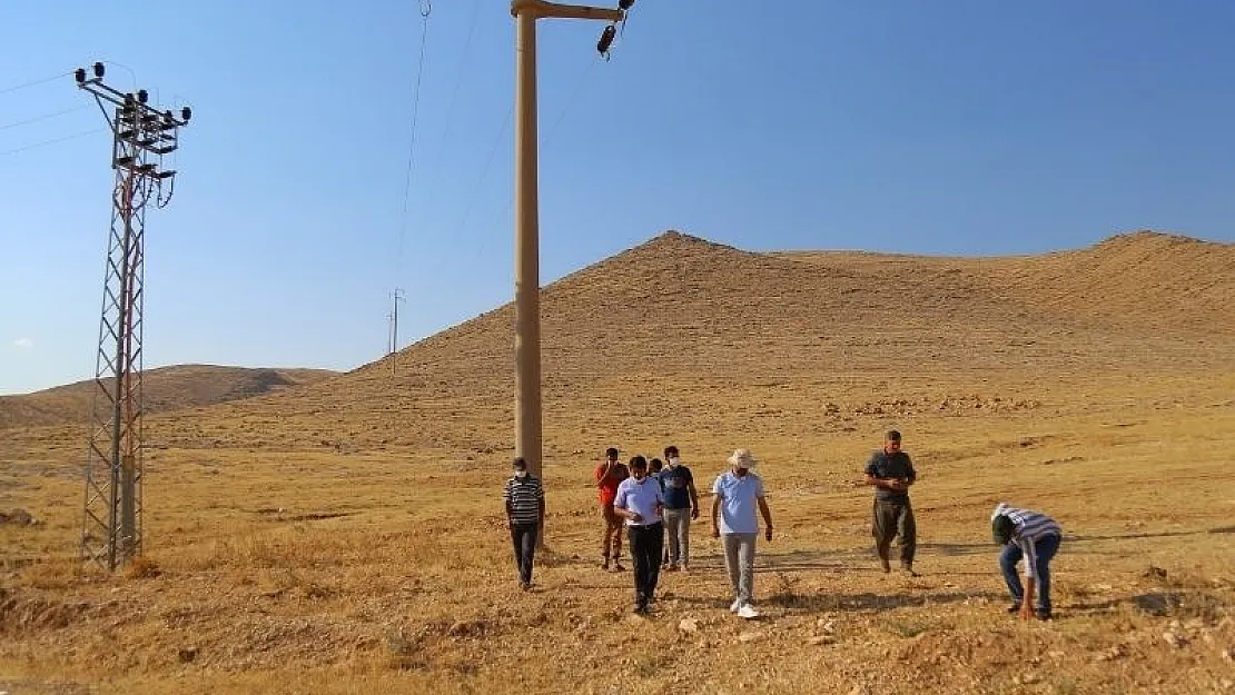 DEDAŞ: Borcunu ödemeyen çiftçi boşuna ekin ekmesin! Elektrik vermeyeceğiz