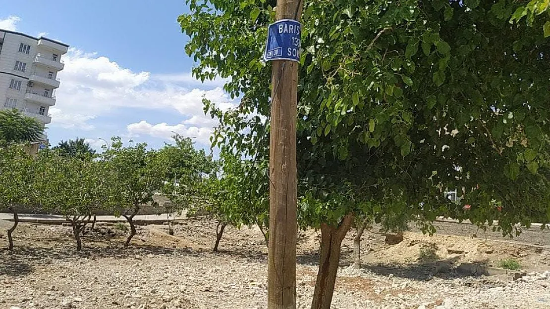 Siirt'te İnternet Kablolarını Çalan Hırsızlar Mahalleliyi İnternetsiz Bıraktı