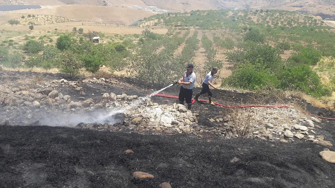 Siirt'te Fıstık Ve Üzüm Bahçelerinde Yangın