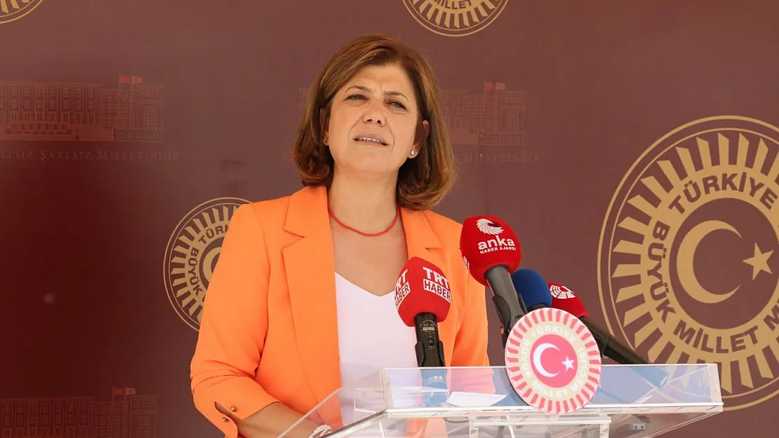 Siirt Milletvekili Beştaş'tan Musa Orhan Hakkında Soru Önergesi