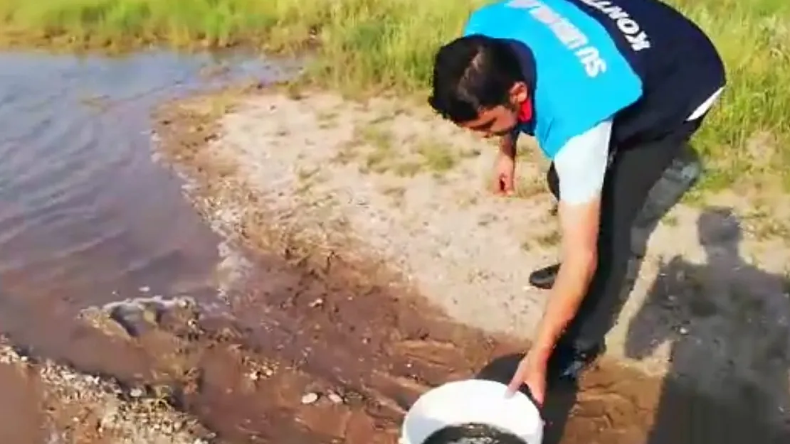 Siirt'te Göletlere 55 Bin Yavru Balık Bırakıldı