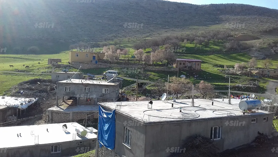 Siirt'te Eşeğin İpine Takılan Çocuk Yaralandı